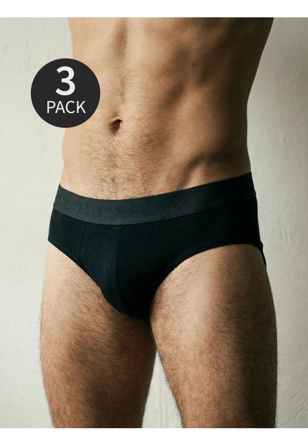 Sinsay - Majtki slipy 3 pack - szary. Kolor: szary