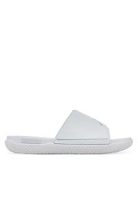 Nike Klapki Jumpman Slide FQ1598 Szary. Kolor: szary