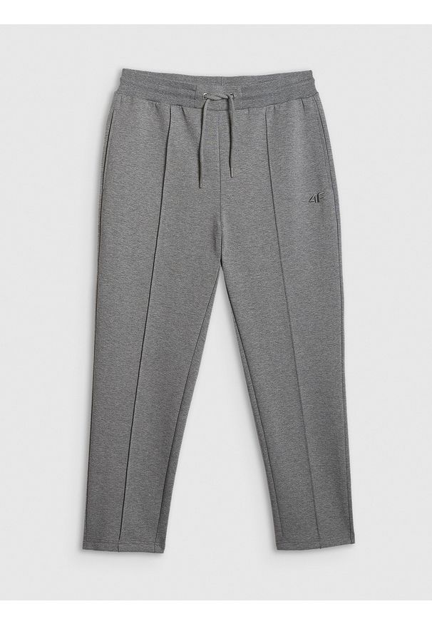 4f - 4F Spodnie dresowe męskie - szare XL. Kolor: szary. Materiał: dresówka