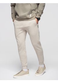 Ombre Clothing - Spodnie męskie dresowe ze ściągaczem przy nogawce BASIC jogger - jasnobeżowe V1 - Rozmiar: XXL. Okazja: na spacer, na co dzień, do domu. Kolor: szary. Materiał: dresówka. Wzór: jednolity, gładki, aplikacja. Styl: casual