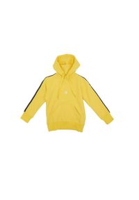 LEONE 1947 APPAREL - Dziecięca bluza z kapturem New Tape w jednolitym kolorze. Typ kołnierza: kaptur. Kolor: żółty. Wzór: jednolity. Sport: joga i pilates