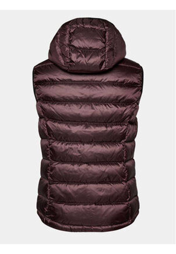 Blauer Kamizelka 23WBLUX03081 Brązowy Regular Fit. Kolor: brązowy. Materiał: syntetyk