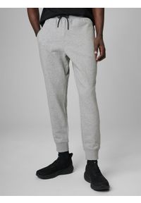 4f - 4F Spodnie dresowe joggery męskie - szare L. Kolor: szary. Materiał: dresówka. Sport: fitness #2