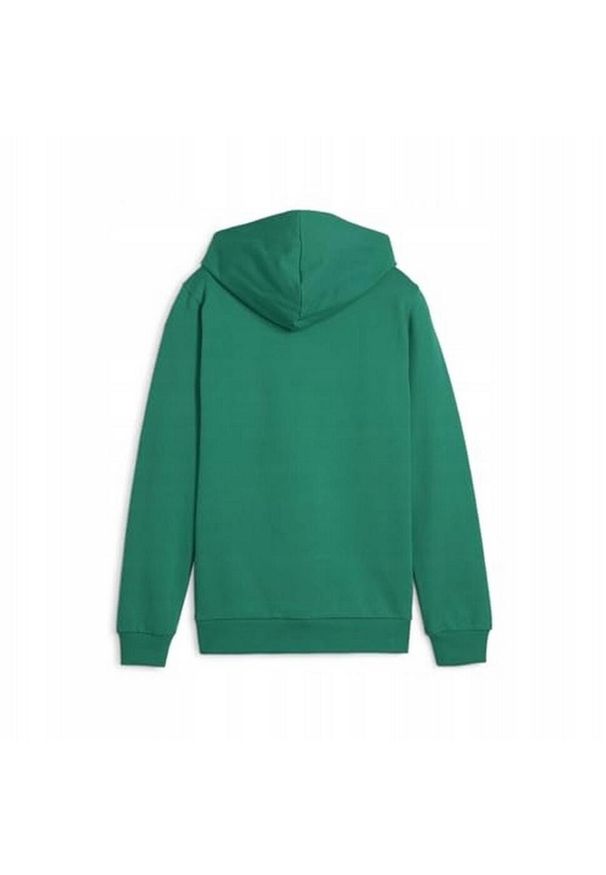 Puma - Bluza Z Kapturem Dziecięca Team Goal Casuals. Typ kołnierza: kaptur. Kolor: zielony