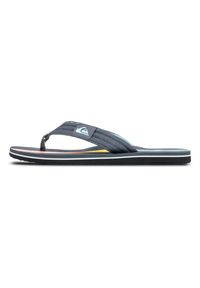 Japonki plażowe męskie Quiksilver MOLOKAI LAYBACK. Okazja: na plażę. Kolor: szary, niebieski, wielokolorowy. Sezon: lato