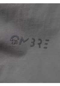 Ombre Clothing - Męski bawełniany longsleeve U-neck z lampasami i nadrukiem na piersi – szary V5. Kolor: szary. Materiał: bawełna. Długość rękawa: długi rękaw. Wzór: nadruk. Styl: klasyczny, sportowy #6