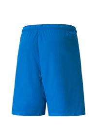 Puma - Spodenki piłkarskie męskie PUMA Teamliga. Kolor: niebieski. Sport: piłka nożna #2