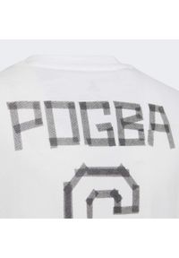 Koszulka dziecięca Adidas Pogba Tee bawełniana biała. Kolor: biały. Materiał: bawełna