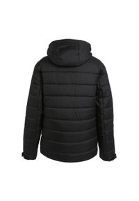 Regatta - Męska Ocieplana Kurtka Navigate. Kolor: żółty, czarny, wielokolorowy, zielony. Materiał: puch. Sport: turystyka piesza #2