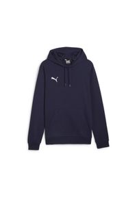 Bluza męska Puma Team Goal Casuals Hoody. Kolor: niebieski