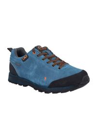 Buty do chodzenia męskie CMP Elettra Low Hiking Wp. Kolor: niebieski. Sport: turystyka piesza
