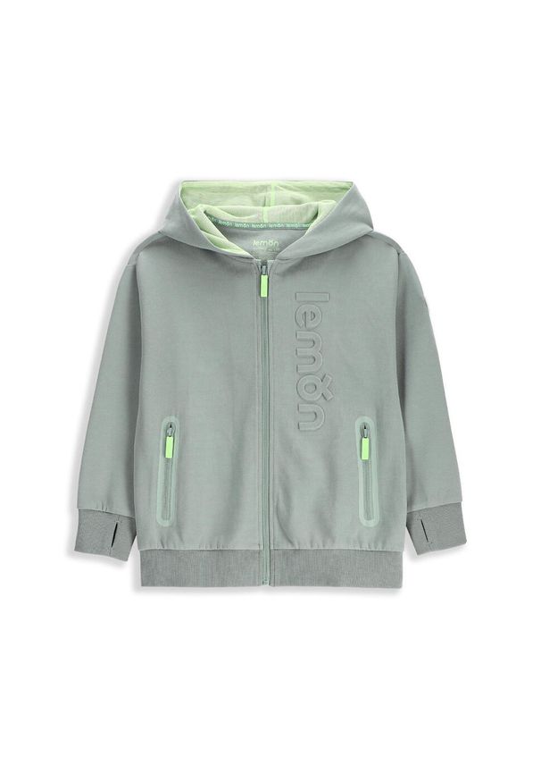 Lemon Explore - Bluza sportowa dziecięca Lemon Exlopre WL5 rozpinana. Typ kołnierza: kaptur. Kolor: zielony. Materiał: bawełna, poliester. Wzór: aplikacja