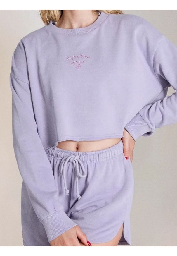 Sinsay - Bluza z haftem - fioletowy. Kolor: fioletowy. Wzór: haft