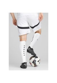 Puma - Męskie szorty Egipt 2025 PUMA White Cool Mid Gray. Kolor: biały, wielokolorowy, szary