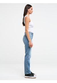 Big-Star - Spodnie jeans damskie Myrra 113. Kolor: niebieski. Styl: klasyczny