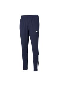 Spodnie męskie Puma teamLIGA Training Pants. Kolor: niebieski, biały, wielokolorowy. Materiał: materiał. Sport: piłka nożna #1