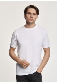 Ochnik - Biały T-shirt męski z logo. Kolor: biały. Materiał: bawełna. Długość: krótkie