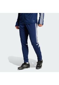 Adidas - Spodnie Squadra 25 Training. Kolor: niebieski, biały, wielokolorowy. Materiał: materiał. Sport: fitness, piłka nożna
