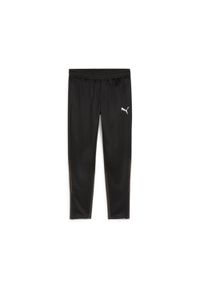 Spodnie treningowe Puma Teamgoal. Kolor: czarny, wielokolorowy, biały. Sport: piłka nożna