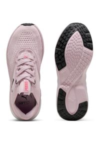Adidasy Puma Softride Mayve, Kobiety. Kolor: różowy. Materiał: materiał