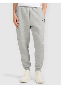 4f - 4F Spodnie dresowe joggery męskie - szare S. Kolor: szary. Materiał: dresówka. Sport: fitness #2