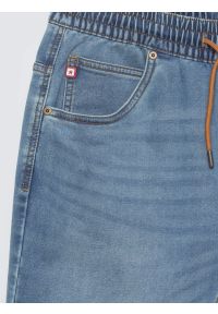 Big-Star - Szorty męskie jeansowe niebieskie Parker 445. Kolor: niebieski. Materiał: jeans. Styl: elegancki, klasyczny #2