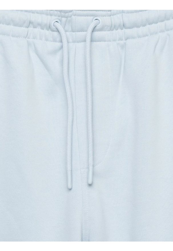 Big-Star - Szorty męskie dresowe jasnoniebieskie Luiss 400. Kolor: niebieski. Materiał: dresówka. Wzór: aplikacja, haft, ze splotem. Sezon: lato. Styl: elegancki, wakacyjny