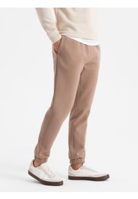 Ombre Clothing - Klasyczne spodnie dresowe unisex ze ściągaczami – brązowe V16 OU-PSBC-0100 - XL/XXL. Kolor: brązowy. Materiał: dresówka. Wzór: aplikacja. Styl: klasyczny #8
