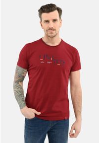 Volcano - Bawełniany t-shirt T-TED. Kolekcja: plus size. Kolor: czerwony. Materiał: bawełna. Długość rękawa: krótki rękaw. Długość: krótkie