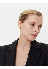 Elisabetta Franchi Kolczyki OR-02A-56E2-240 Złoty. Materiał: metalowe. Kolor: złoty #3