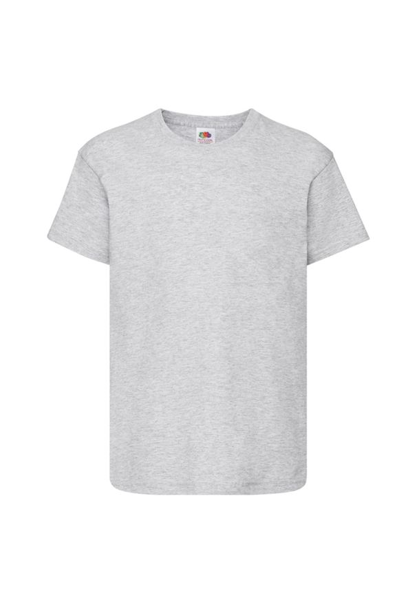 FRUIT OF THE LOOM - Oryginalna Koszulka Dla Dzieci. Kolor: szary. Sport: turystyka piesza