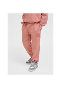 Spodnie dresowe dla dzieci Hummel Clean. Kolor: różowy. Materiał: dresówka. Sport: joga i pilates
