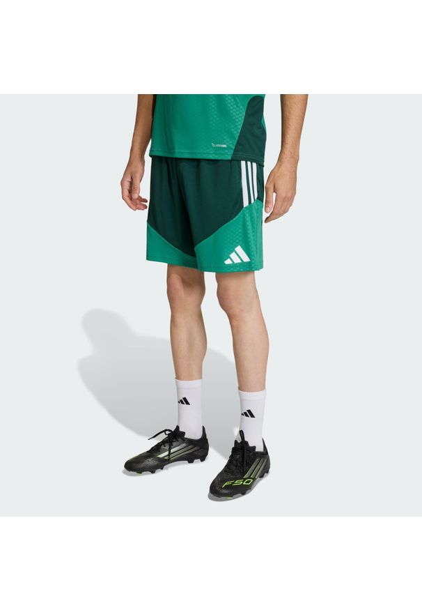 Adidas - Szorty treningowe Algeria 26. Kolor: zielony. Technologia: ClimaCool (Adidas). Sport: piłka nożna