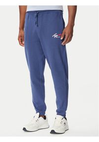 Tommy Jeans Spodnie dresowe DM0DM23903 Niebieski Regular Fit. Kolor: niebieski. Materiał: bawełna #1