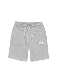 Quiksilver - Spodenki z elastyczną talią EASY DAY. Kolor: szary. Materiał: materiał, poliester, bawełna. Długość: krótkie. Sezon: lato