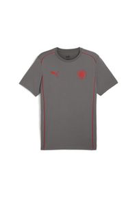 Puma - Męska koszulka Casuals FC St. Pauli PUMA Flat Medium Gray Red. Kolor: czerwony, wielokolorowy, szary