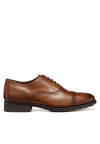 Półbuty Geox. Kolor: brązowy #1