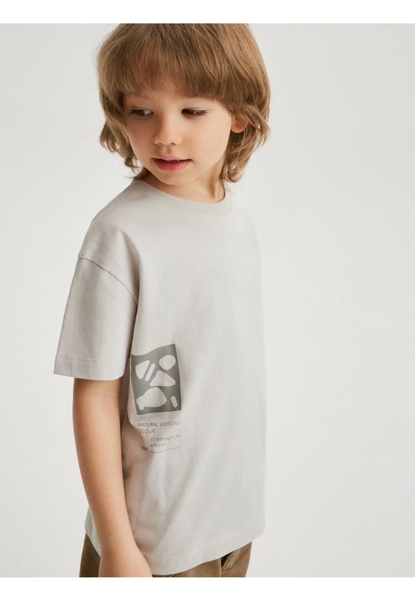 Reserved - T-shirt z nadrukiem - jasnoszary. Kolor: szary. Materiał: bawełna, dzianina. Wzór: nadruk