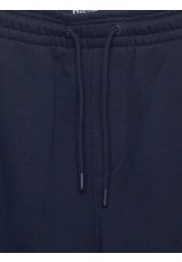 Big-Star - Szorty męskie dresowe granatowe Luiss 403. Kolor: niebieski. Materiał: dresówka. Wzór: haft, ze splotem. Styl: sportowy #2