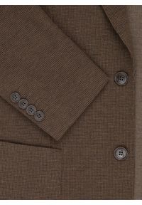 Pako Lorente - PAKO LORENTE – Brązowa marynarka męska. Kolor: brązowy, zielony. Materiał: poliester, wiskoza, elastan. Sezon: jesień #10