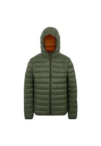 Regatta - Męska Ocieplana Kurtka Z Kapturem Marizion. Typ kołnierza: kaptur. Kolor: zielony. Materiał: puch. Sport: turystyka piesza #1