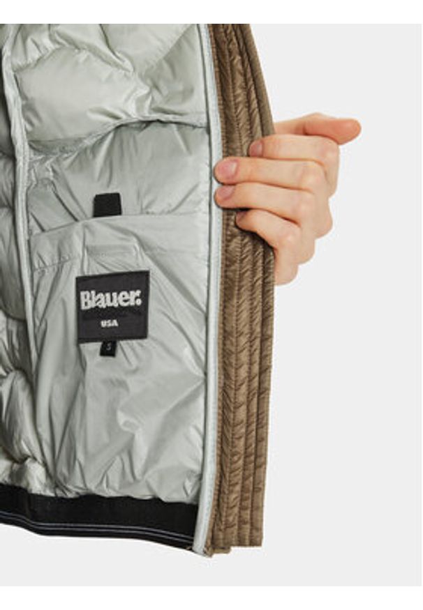 Blauer Kurtka puchowa 24WBLDC03048 Brązowy Regular Fit. Kolor: brązowy. Materiał: syntetyk