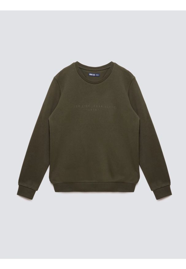 Big-Star - Bluza męska ze splotem pique khaki Wiron 303. Okazja: na co dzień. Kolor: zielony. Materiał: jeans, tkanina, materiał, dzianina. Wzór: ze splotem. Styl: klasyczny, casual