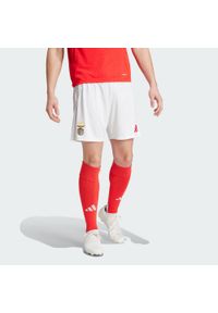 Adidas - Szorty Benfica 24/25 Home. Kolor: biały. Materiał: materiał