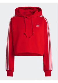 Adidas - adidas Bluza Adicolor Classics Crop Hoodie IB7389 Czerwony Loose Fit. Kolor: czerwony. Materiał: bawełna #2