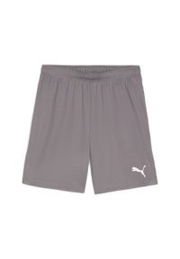 Szorty Puma TeamGloal. Kolor: szary. Materiał: materiał. Sport: piłka nożna #1