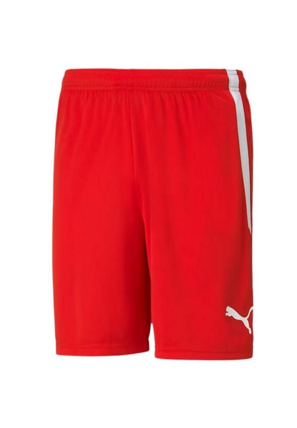 Puma - Męskie Spodenki TeamLIGA. Kolor: czerwony. Sport: turystyka piesza