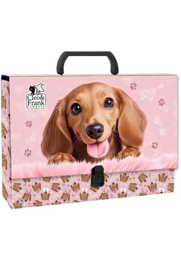 Derform Teczka z rączką gruba Cleo i Frank 46 DERFORM