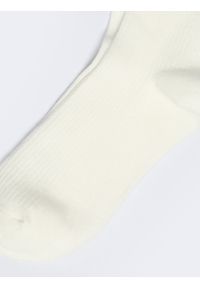 Big-Star - Skarpety damskie w prążek z napisem BIG STAR białe Marcolia 101. Kolor: biały. Materiał: materiał. Wzór: napisy, prążki