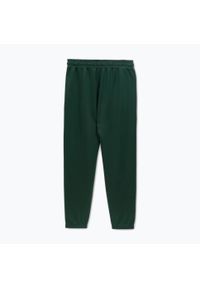 PITBULL - Spodnie męskie Pitbull Track Pants Powers. Kolor: zielony